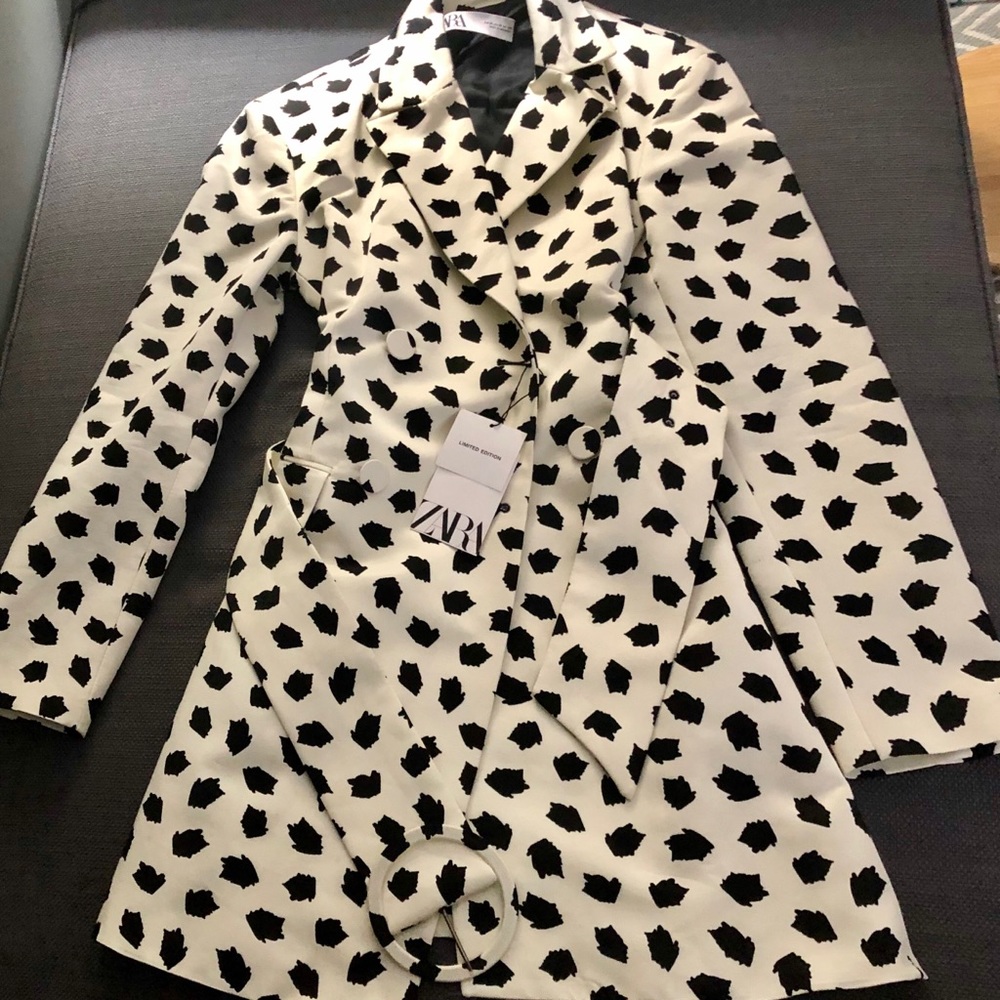 NWT Limited Edition Zara Trench Coat